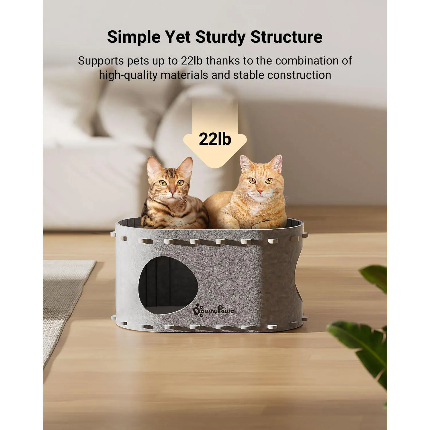 Casa Para Gatos DownyPaws PeekaPurr Con Diseño Plegable Y Espacio Doble 3