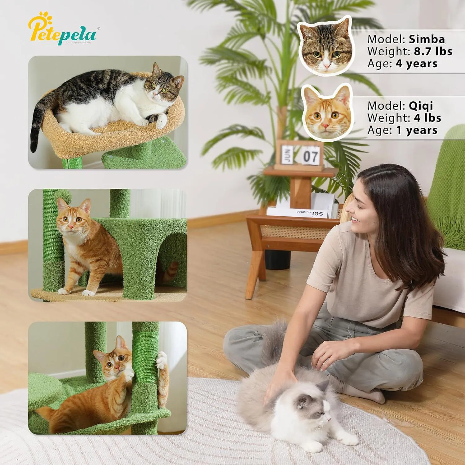 Gimnasio Para Gatos en Forma de CactusCon Hamaca Percha Alta Y Poste Rascador 3