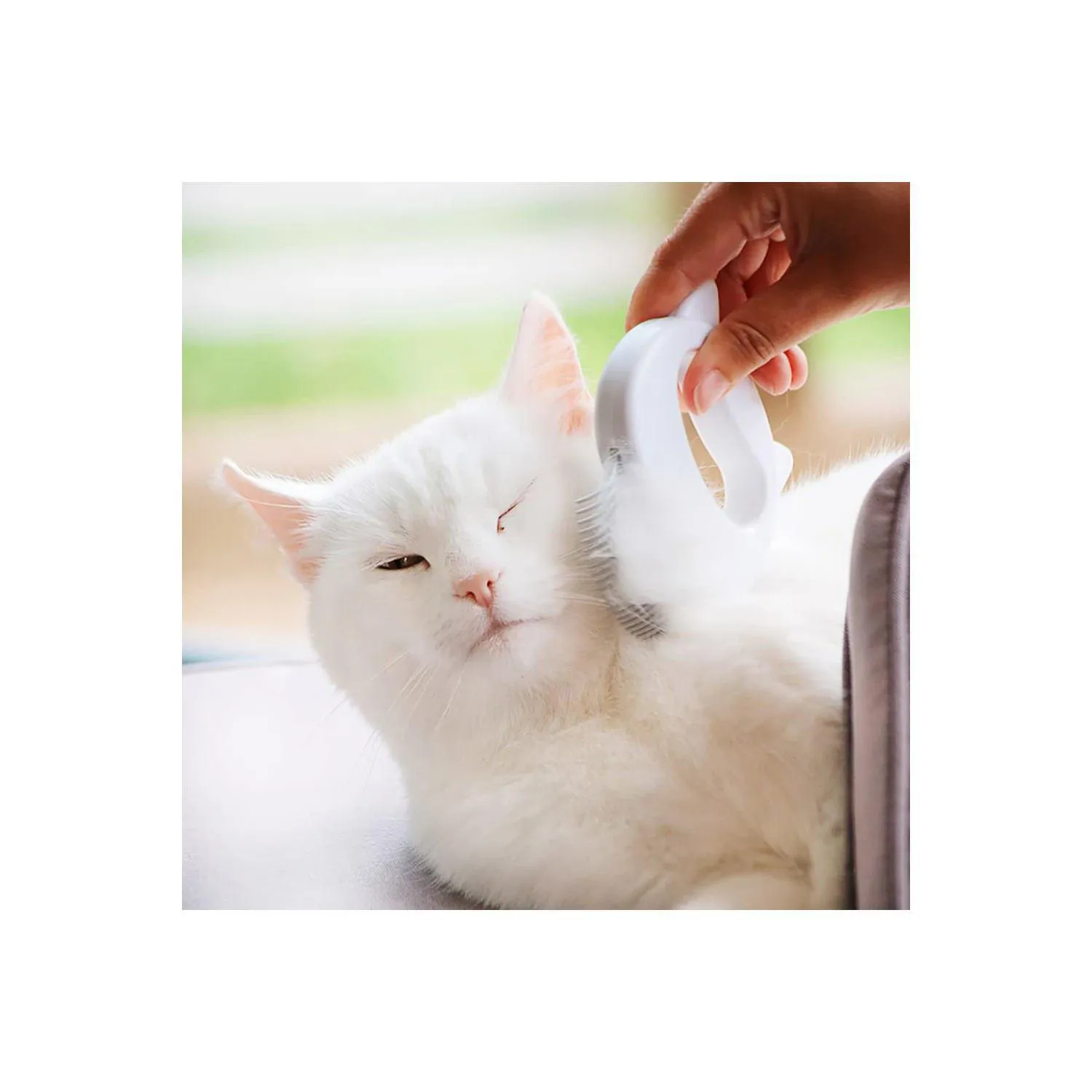 Peine Masajeador Para Gatos Cepillo Suave Para Pelo Largo Y Corto 6