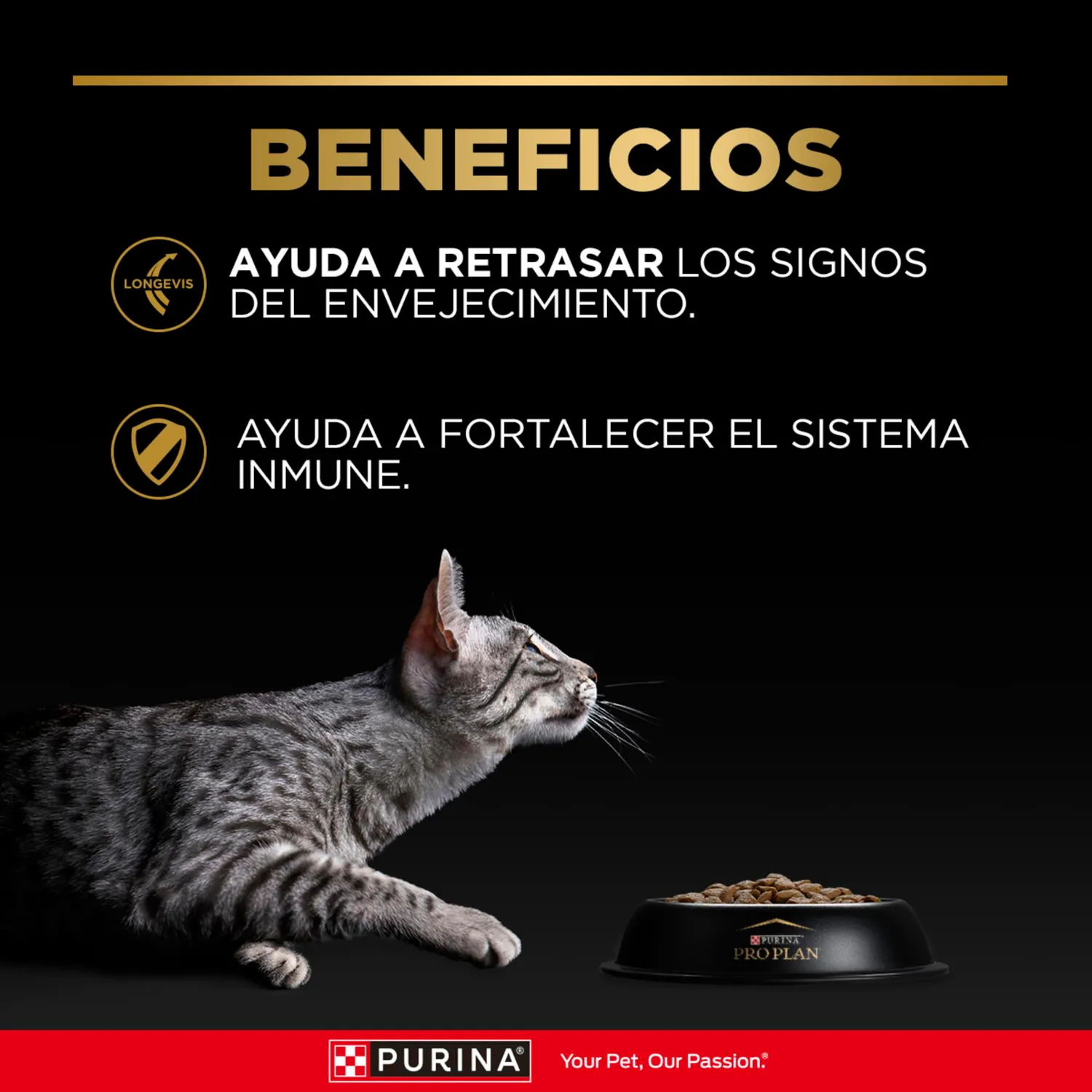 Comida Seca Para Gato Senior Pro Plan 3kg 4