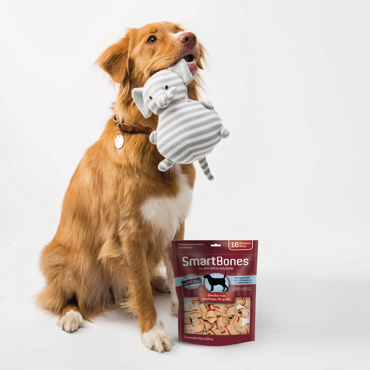 Snack para perro smartbone chicken mini 16und