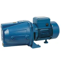 Bomba de Agua de Inyección Ajm75 1HP Aquastrong