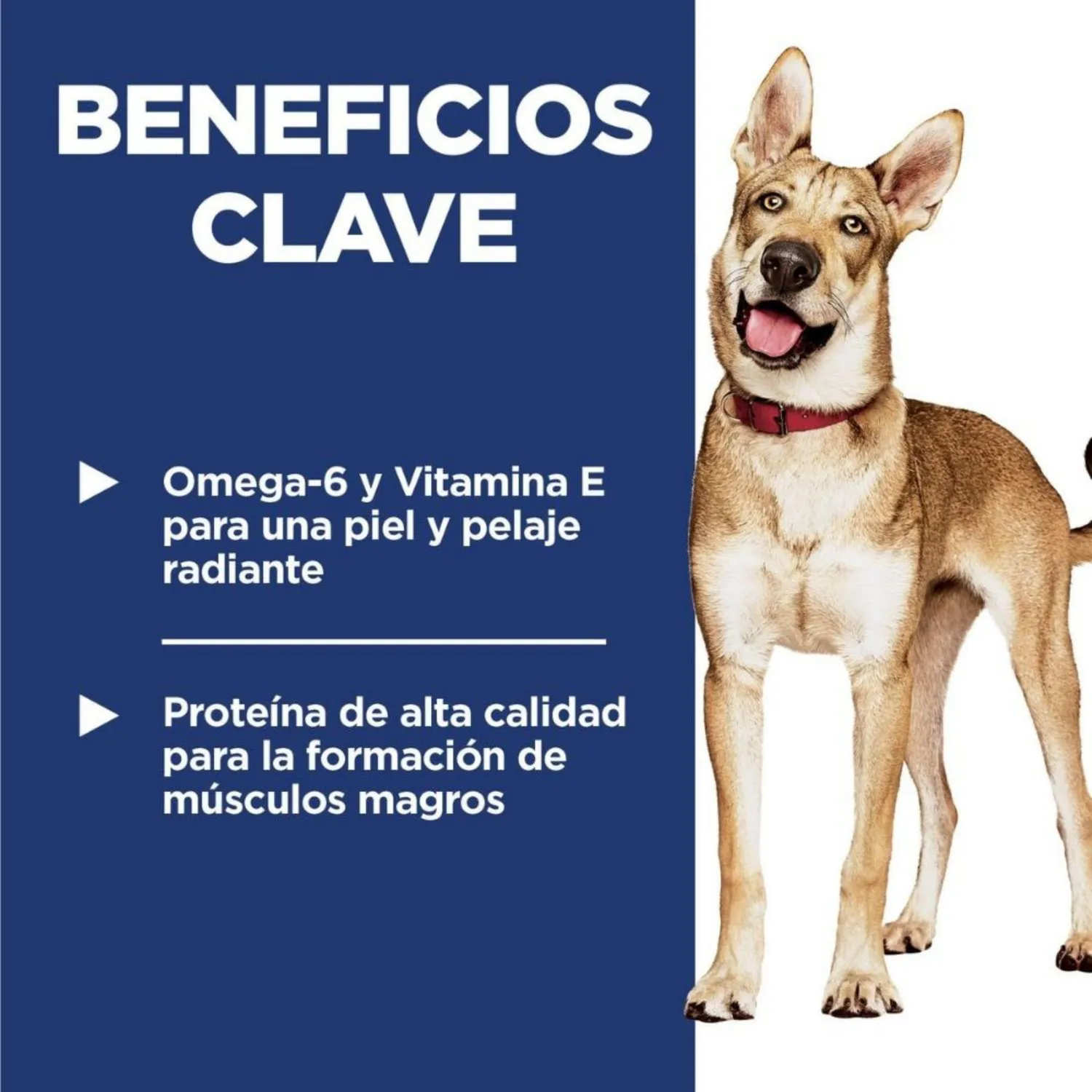 Comida Seca Para Perro Hills Adulto Todas Las Razas 1kg 3