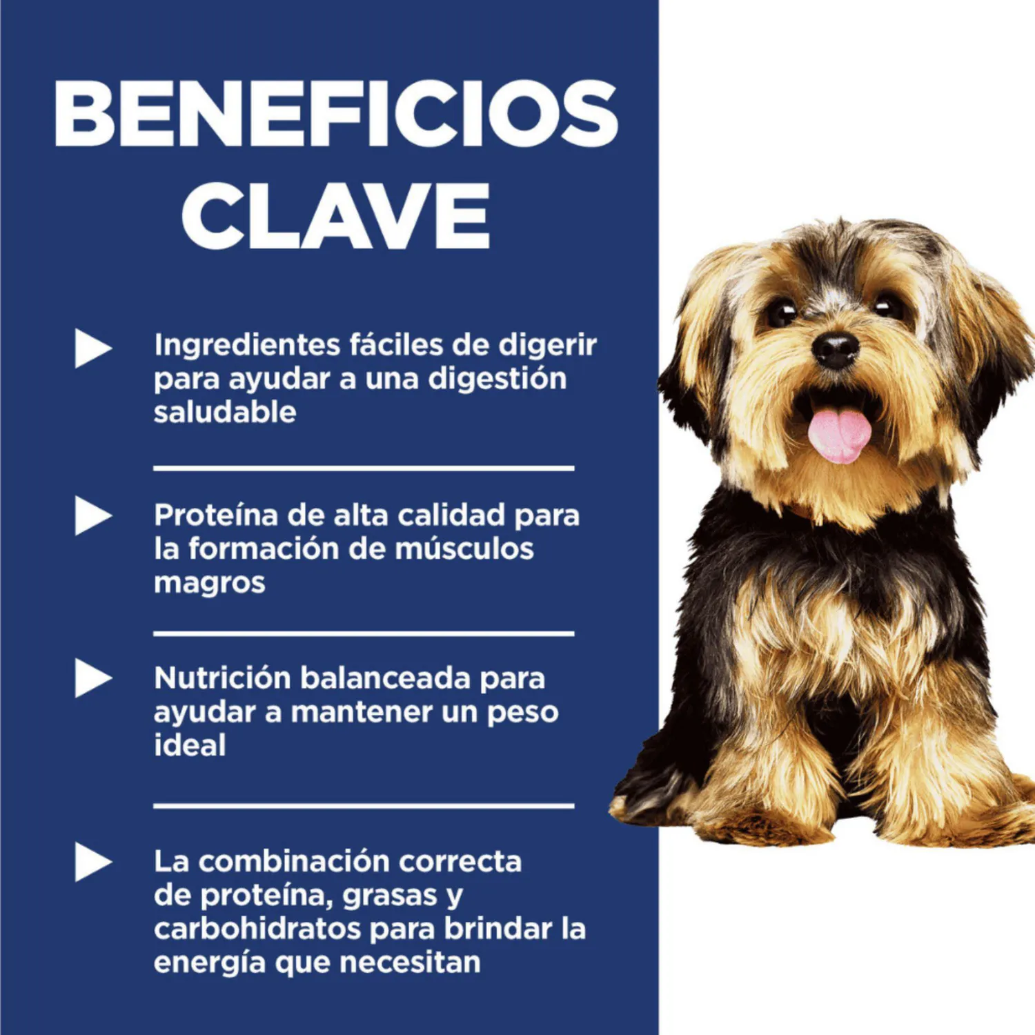 Comida Seca Para Perro Hills Small Paws Raza Pequeña Sabor A Cordero 1kg 3