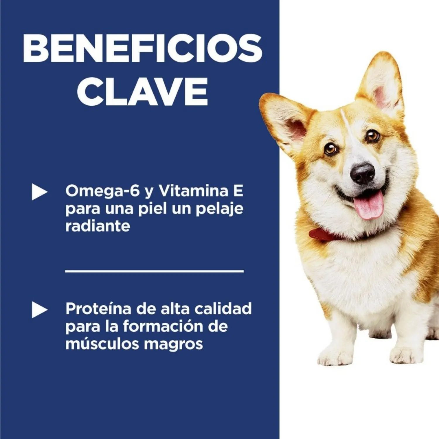 Comida Seca Para Perro Adulto Hills Small Bites Raza Pequeña 1kg 3