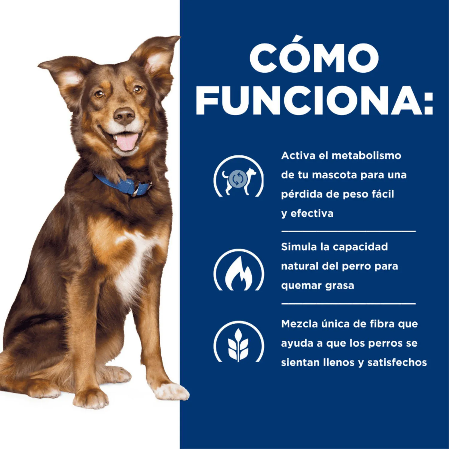 Comida Seca Para Perro Hills Prescription Diet Metabolic 7.9kg 6