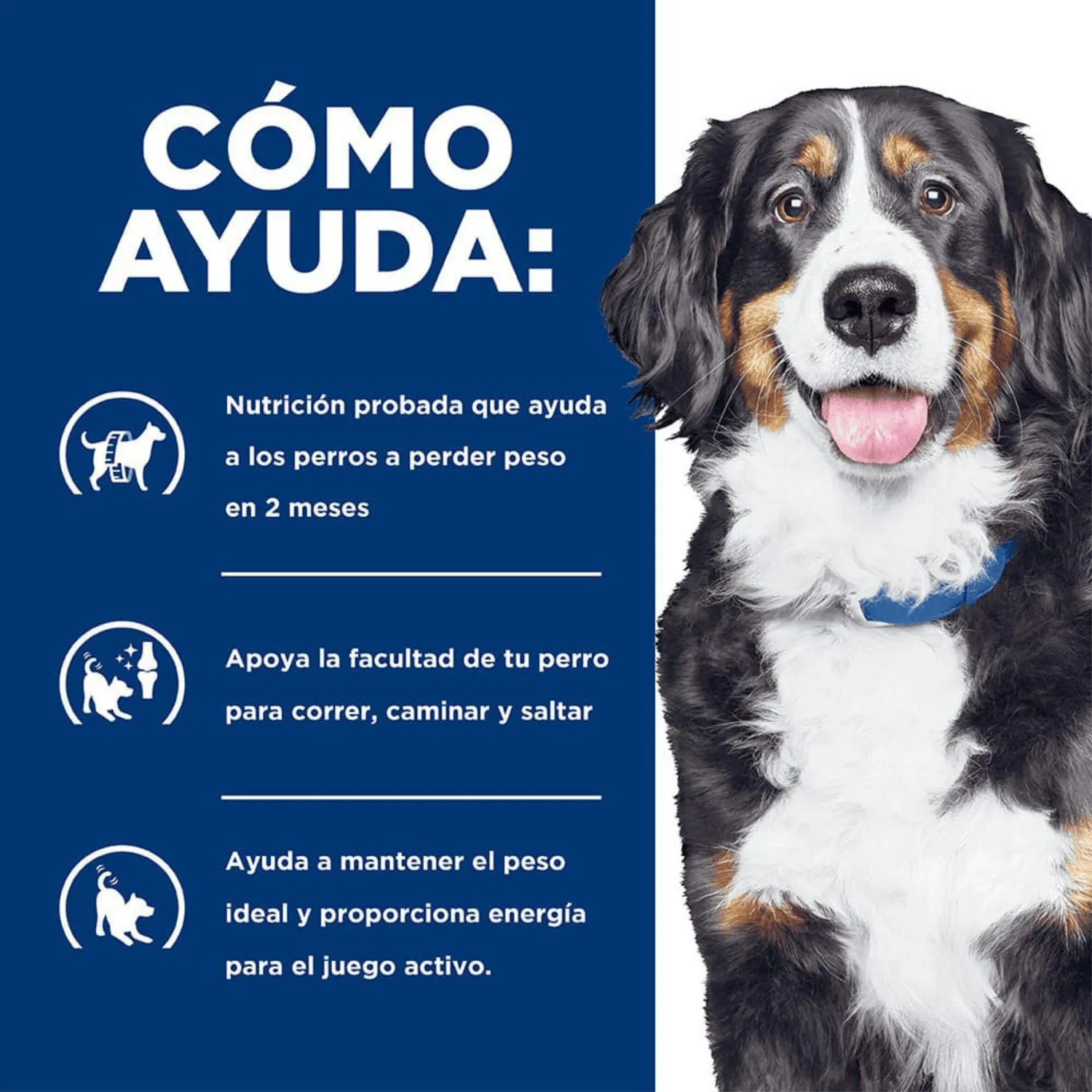 Comida Seca Para Perro Hills Prescription Diet Metabolic + Mobility 10kg 4