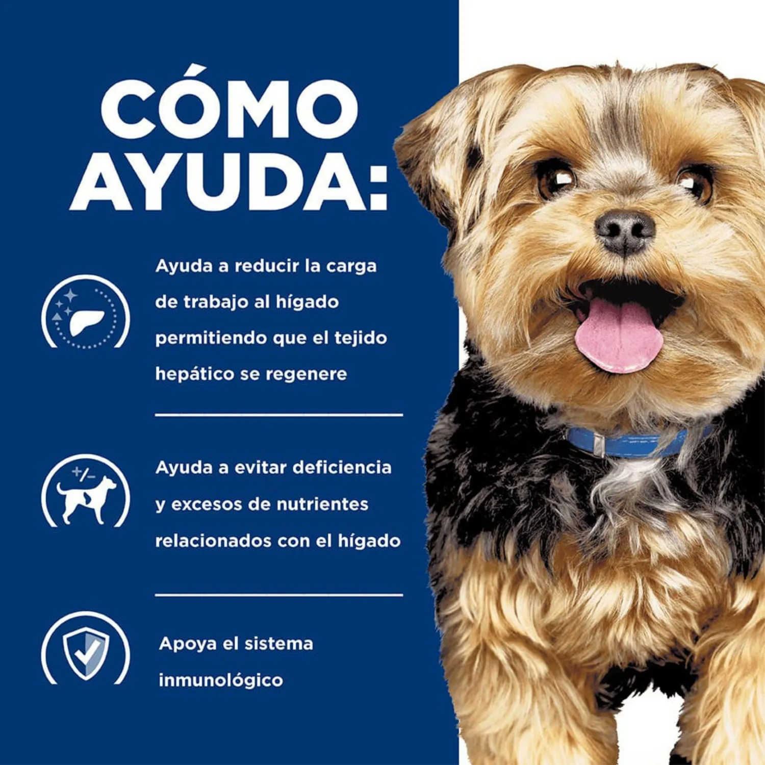 Comida Seca Para Perro Hills Prescription Diet Digestive Care Hepatic 7.9kg 3