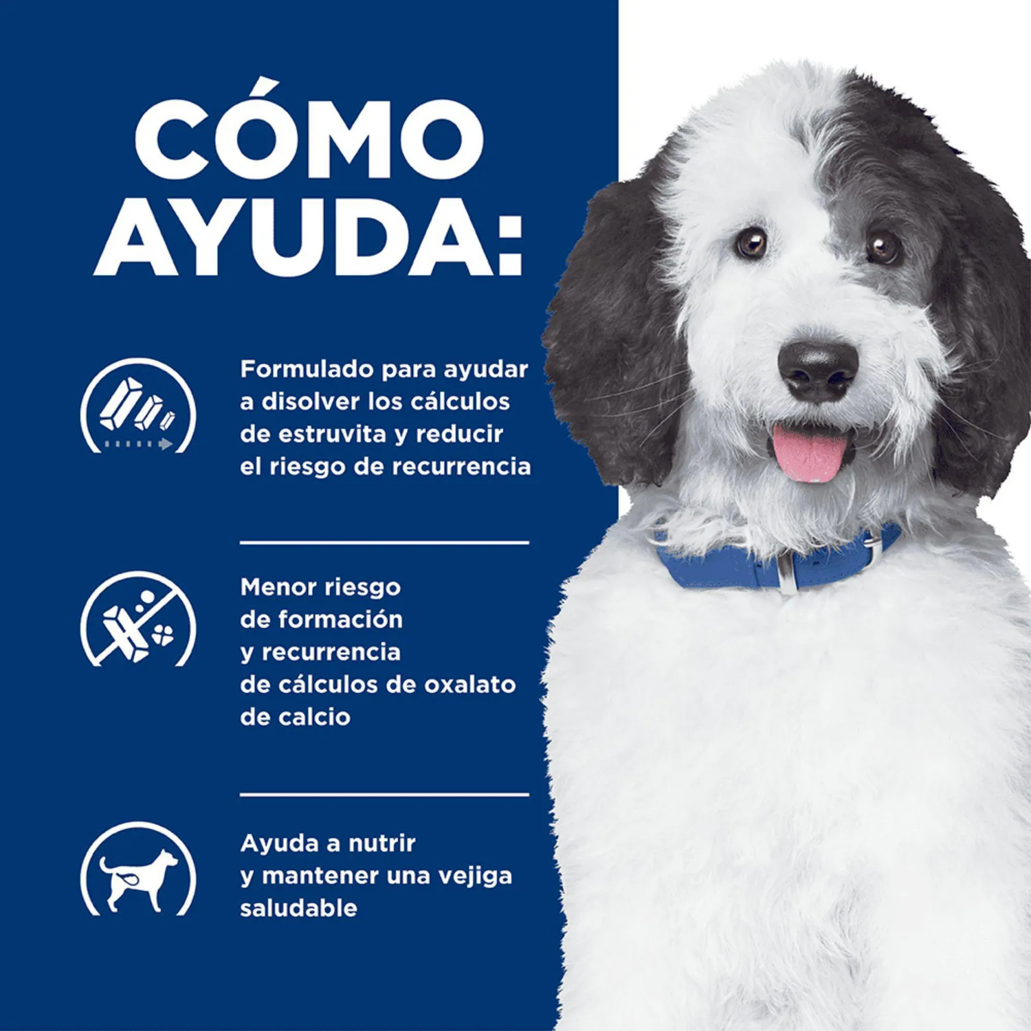 Comida Seca Para Perro Hills Prescription Diet Urinary Care 8kg 3