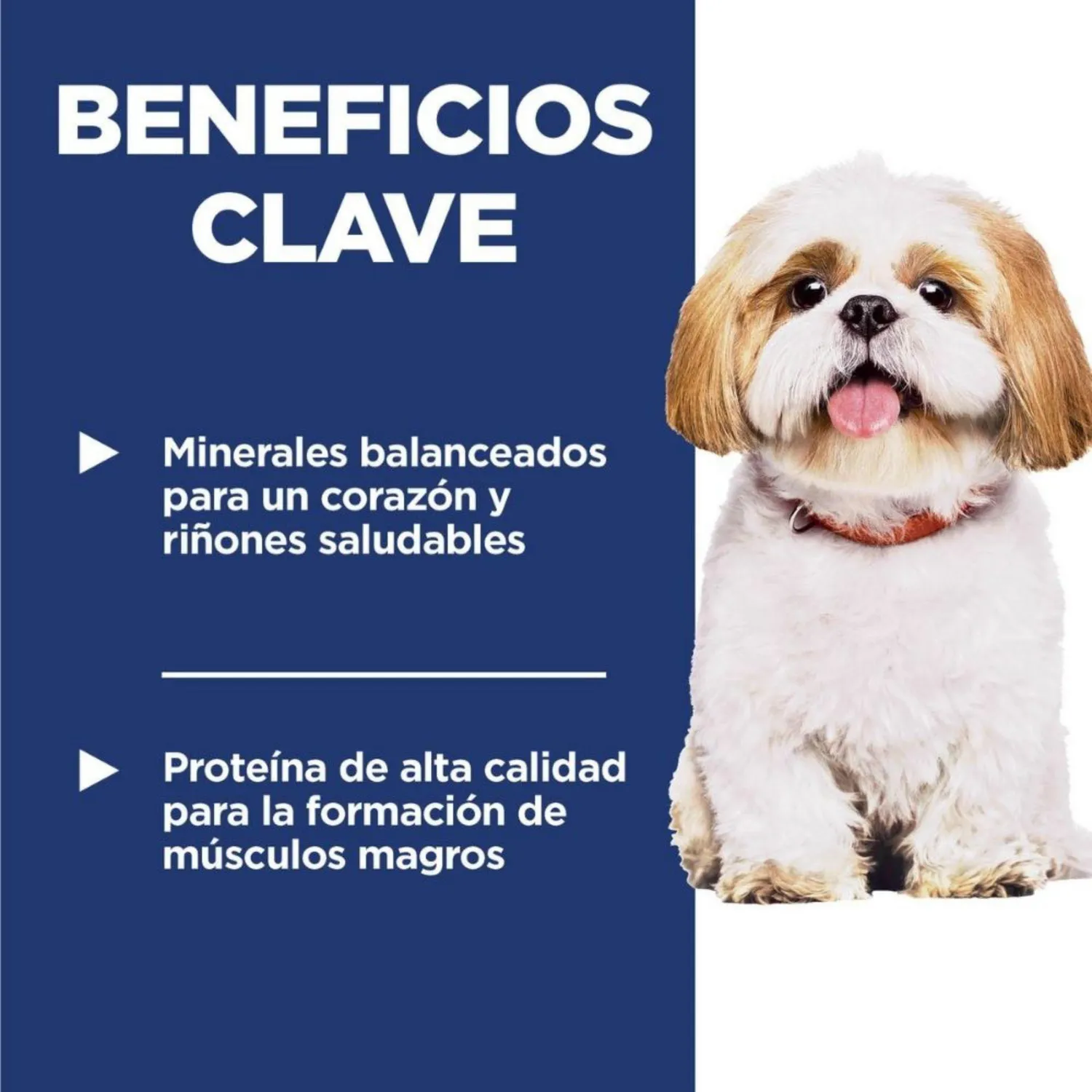 Comida Seca Para Perro Senior+7 Small Bites Raza Pequeña 2kg Hills 3