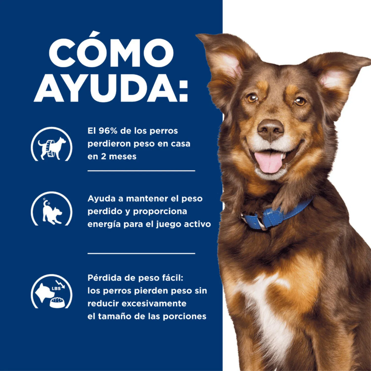 Comida Seca Para Perro Hills Prescription Diet Metabolic Obesity 12.4kg 4