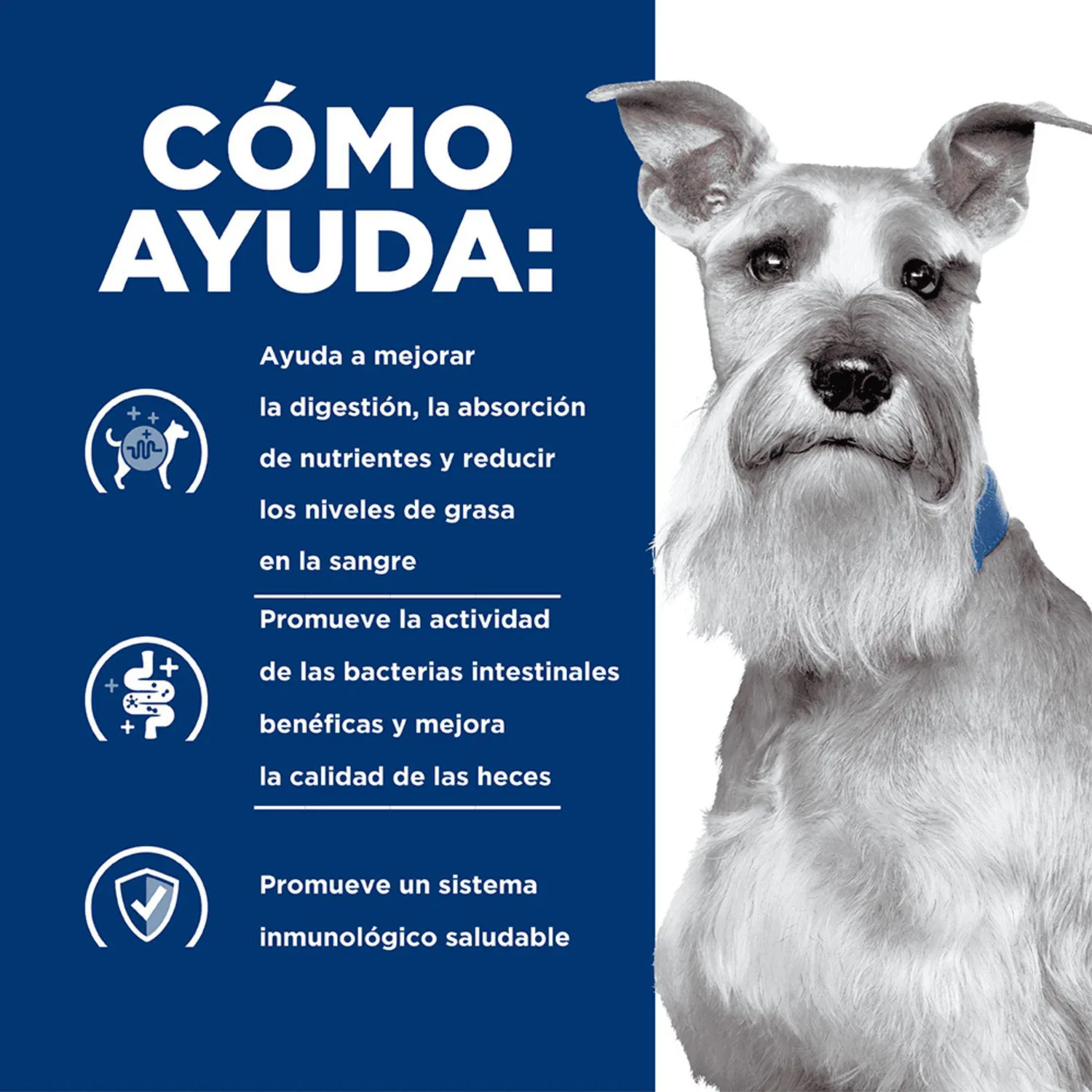Comida Seca Para Perro Hills Prescription Diet Digestive Care Low Fat 3.8kg 4