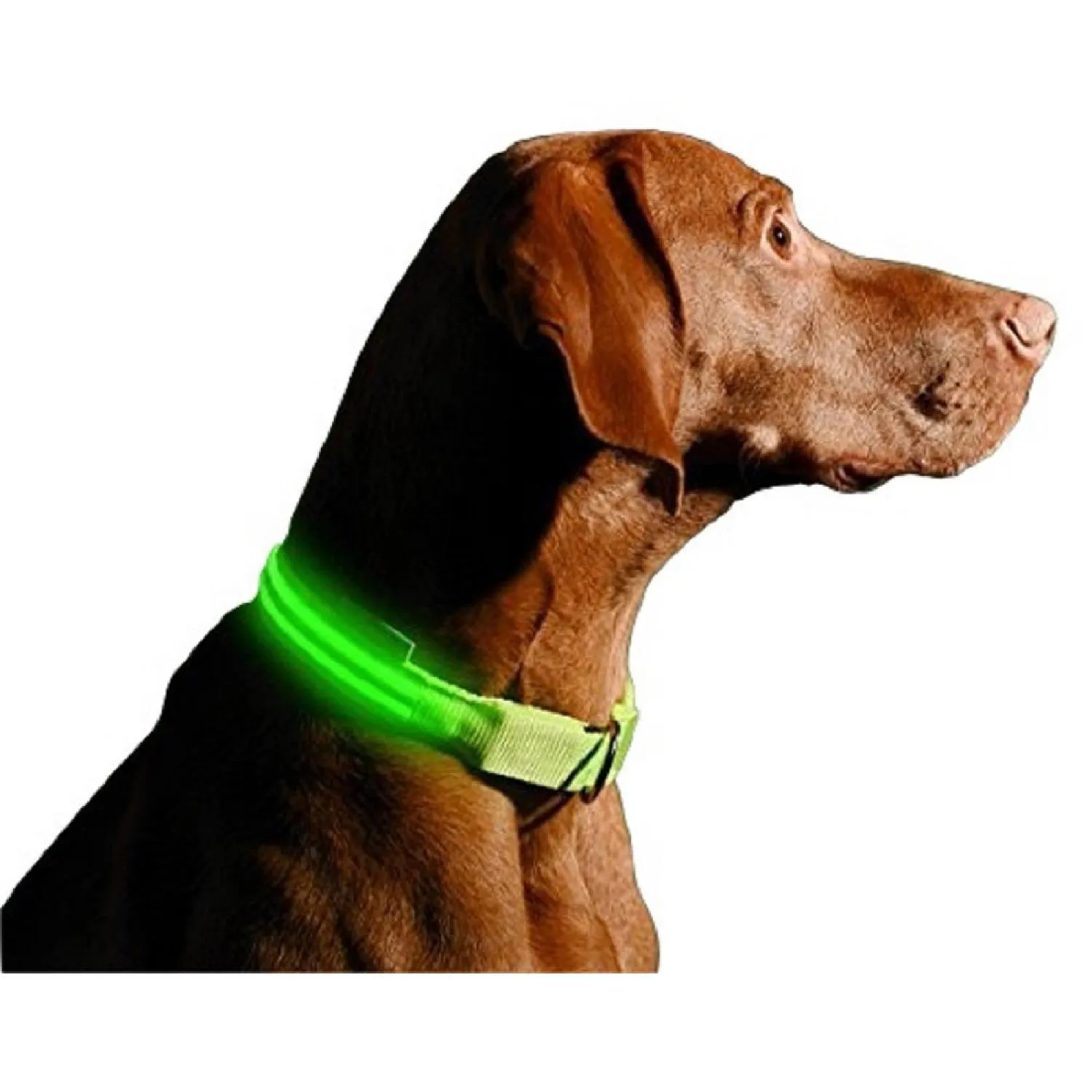 Collar Luz Led Reflectivo Para Mascotas Verde Xs