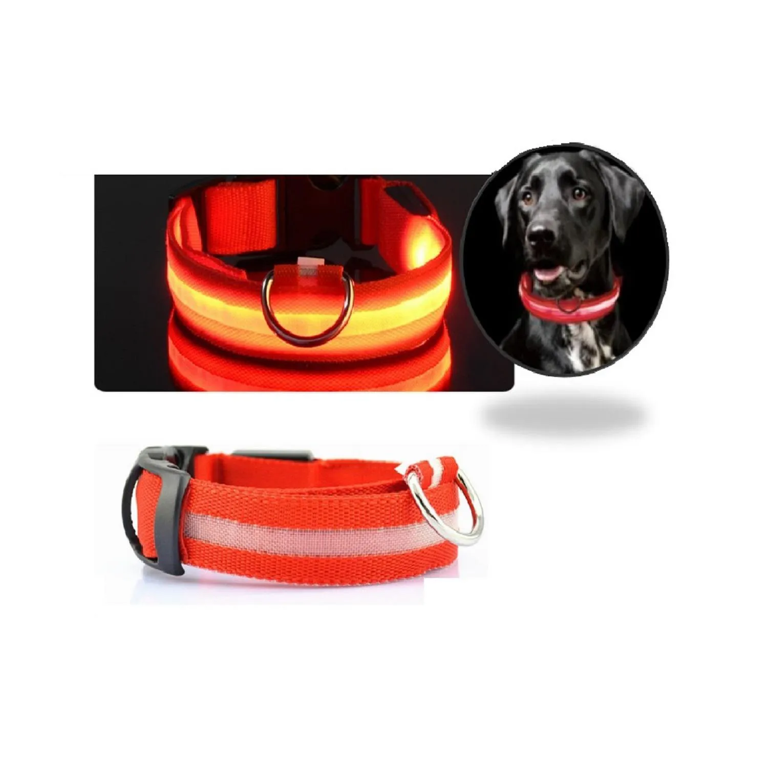Collar Luz Led Reflectivo Para Mascotas Rojo Xs