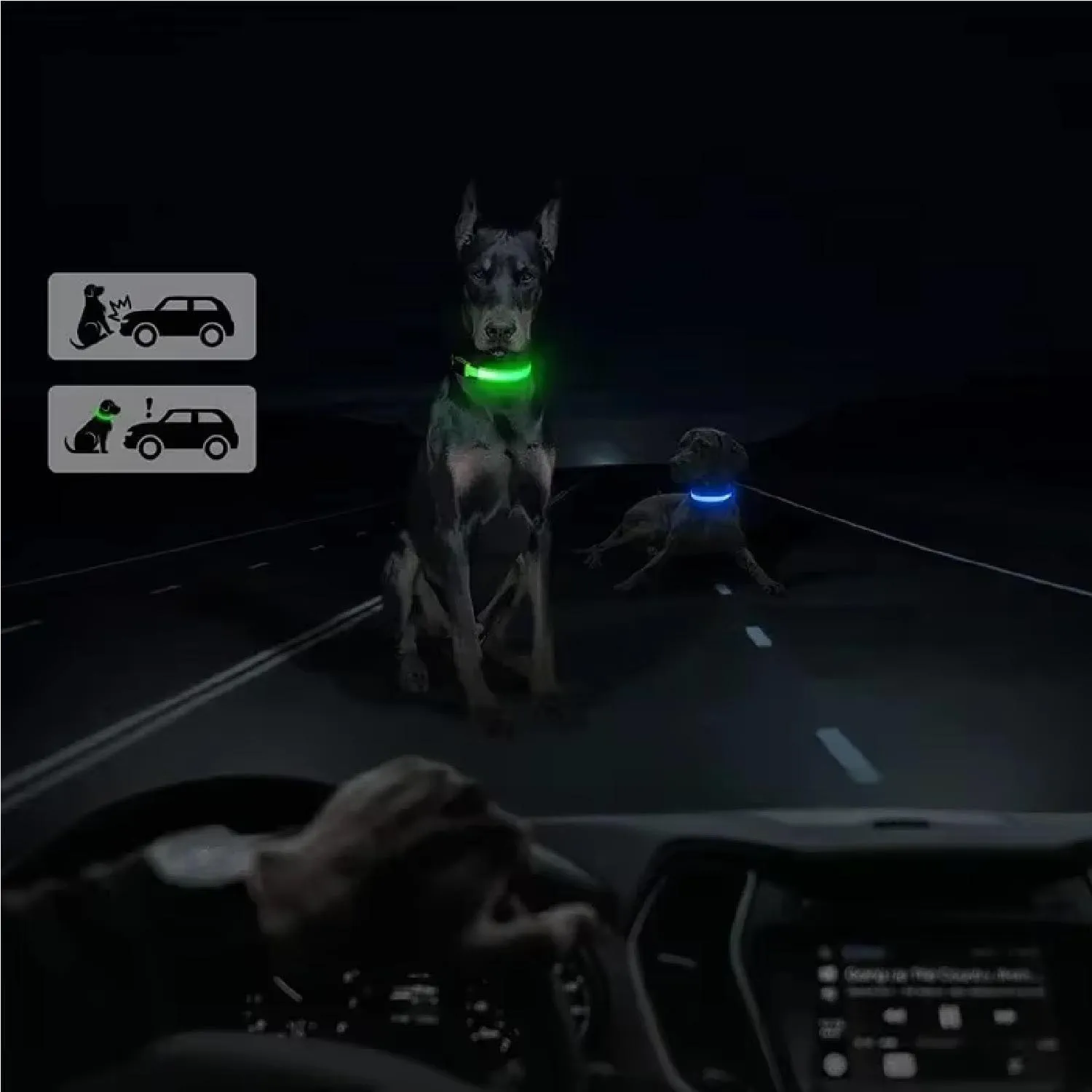 Collar Luz Led Reflectivo Para Mascotas Rojo Xs 3