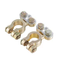 Set X2 Bornes Para Bateria Tipo Normal Uyus