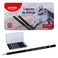 Lapices X12 Dibujo Graduado Caja Metalica Pza