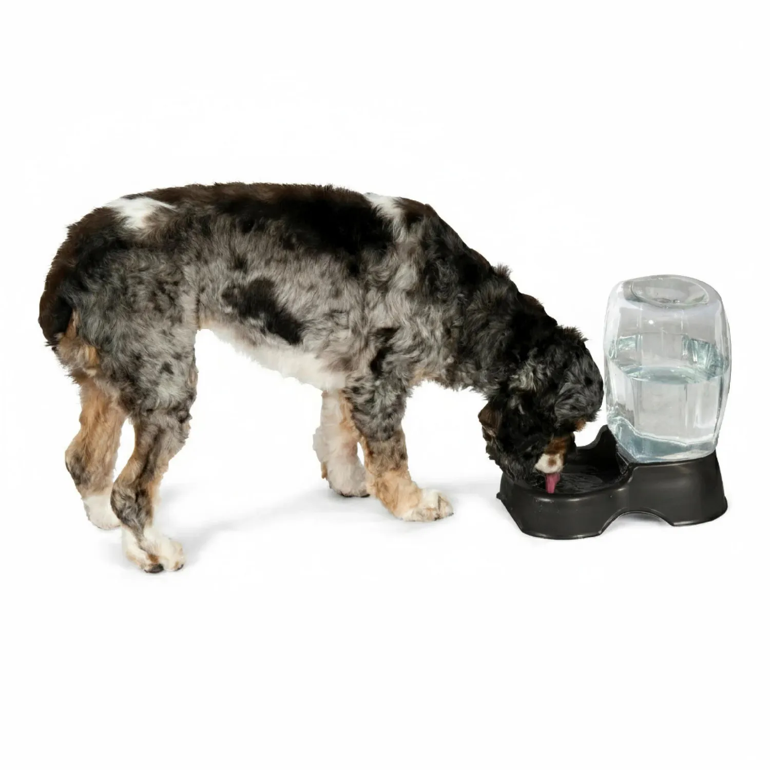 Bebedero para perro petmate gravity 5.6l 3