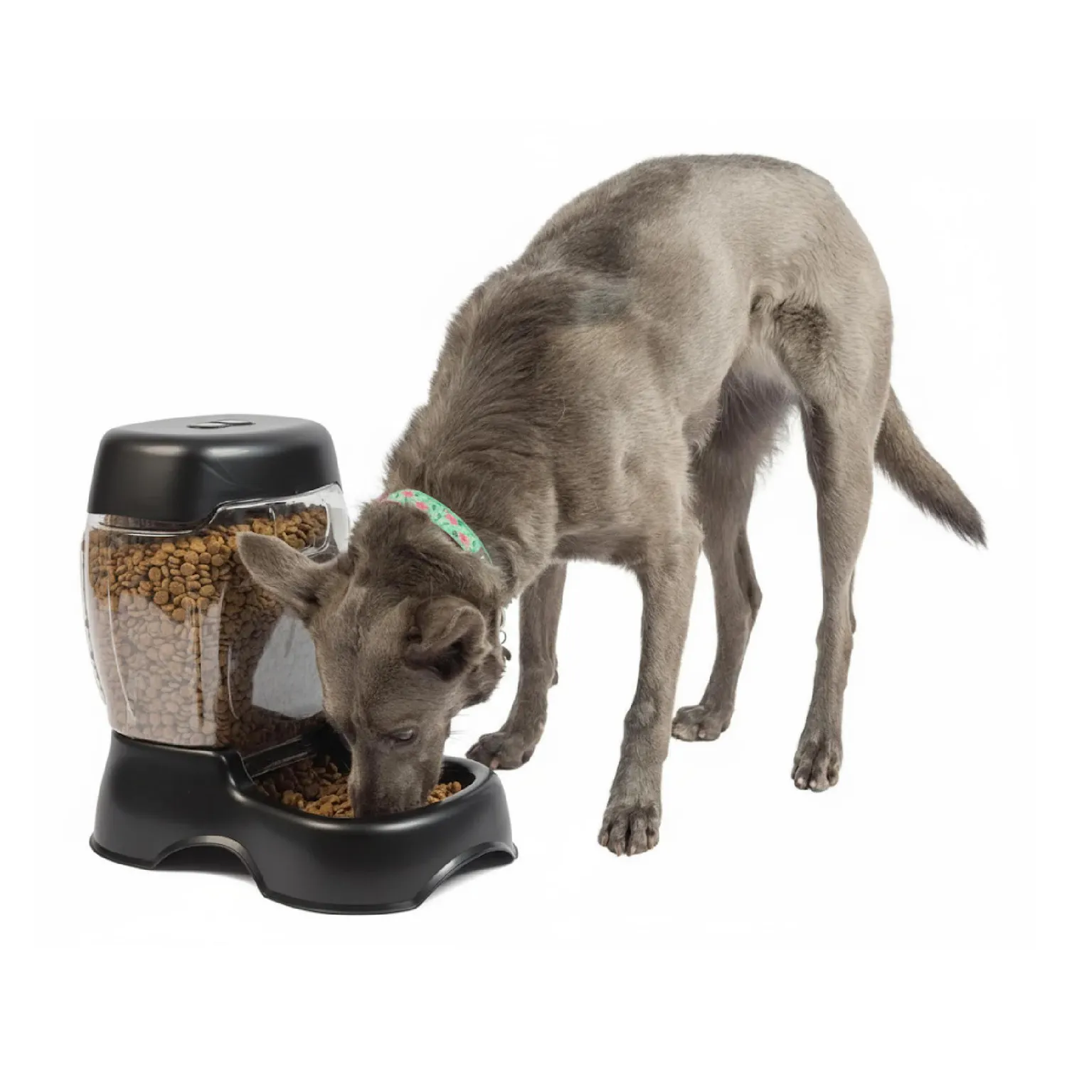 Comedero negro para perro gravity petmate 3l 3