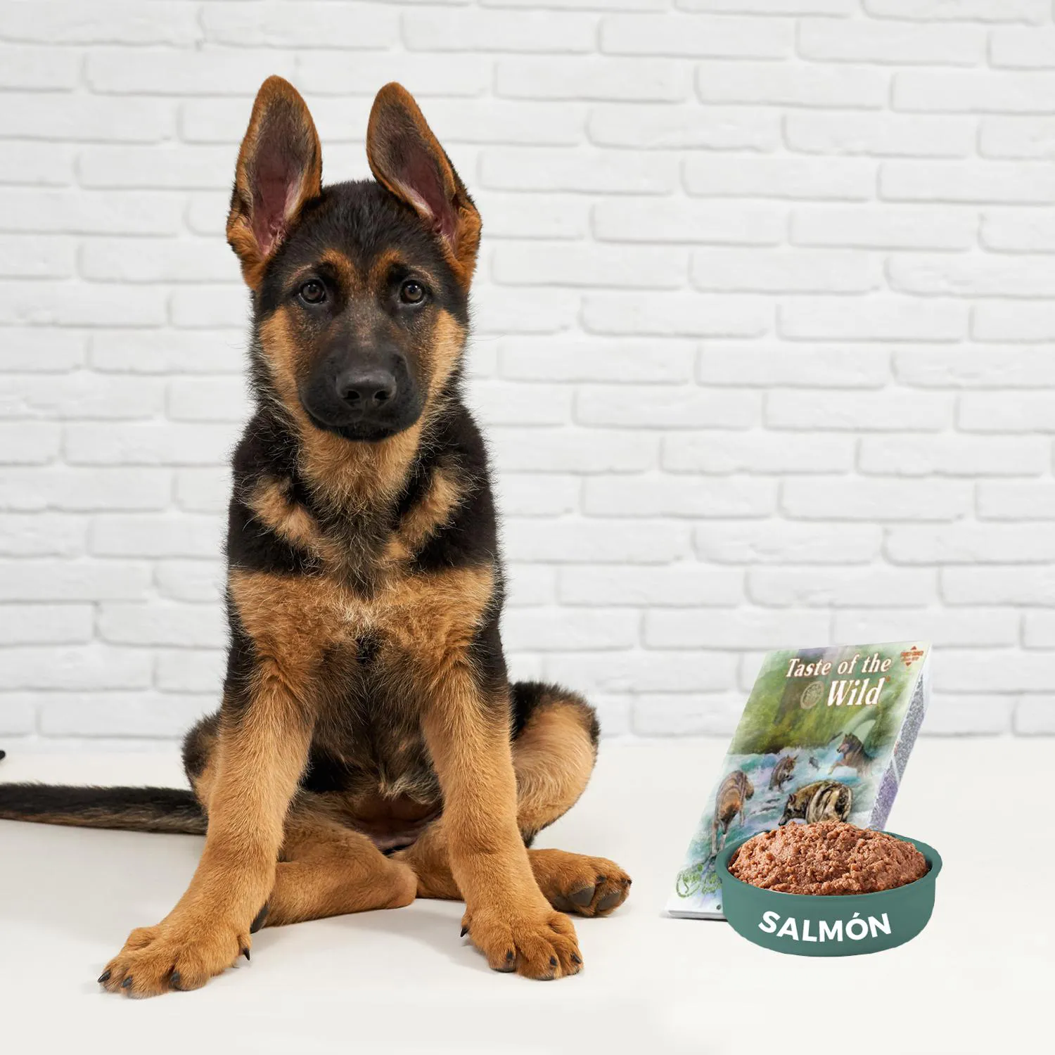 Comida Húmeda Para Perro Tow Bandeja Sabor Salmón 390gr 5