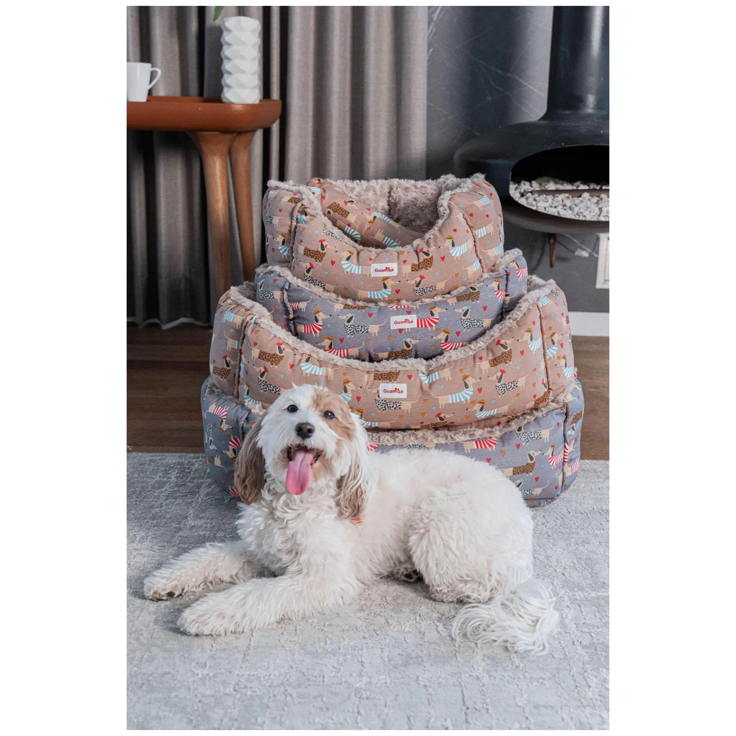 Combo Cama Mascota Pequeña 50x50cm Frenchy Beig