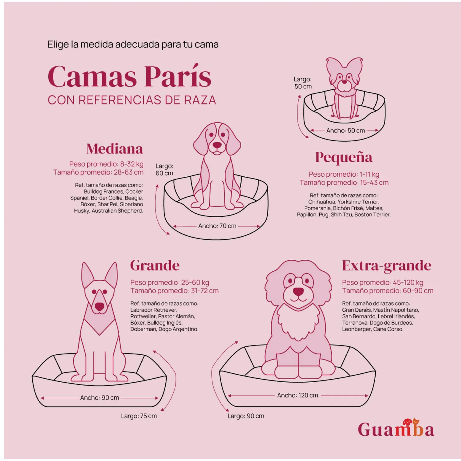 Combo Cama Mascota Pequeña 50x50cm Frenchy Beig 3