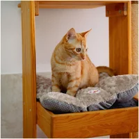 Colchoneta Para Gato Mediana 60x70cm