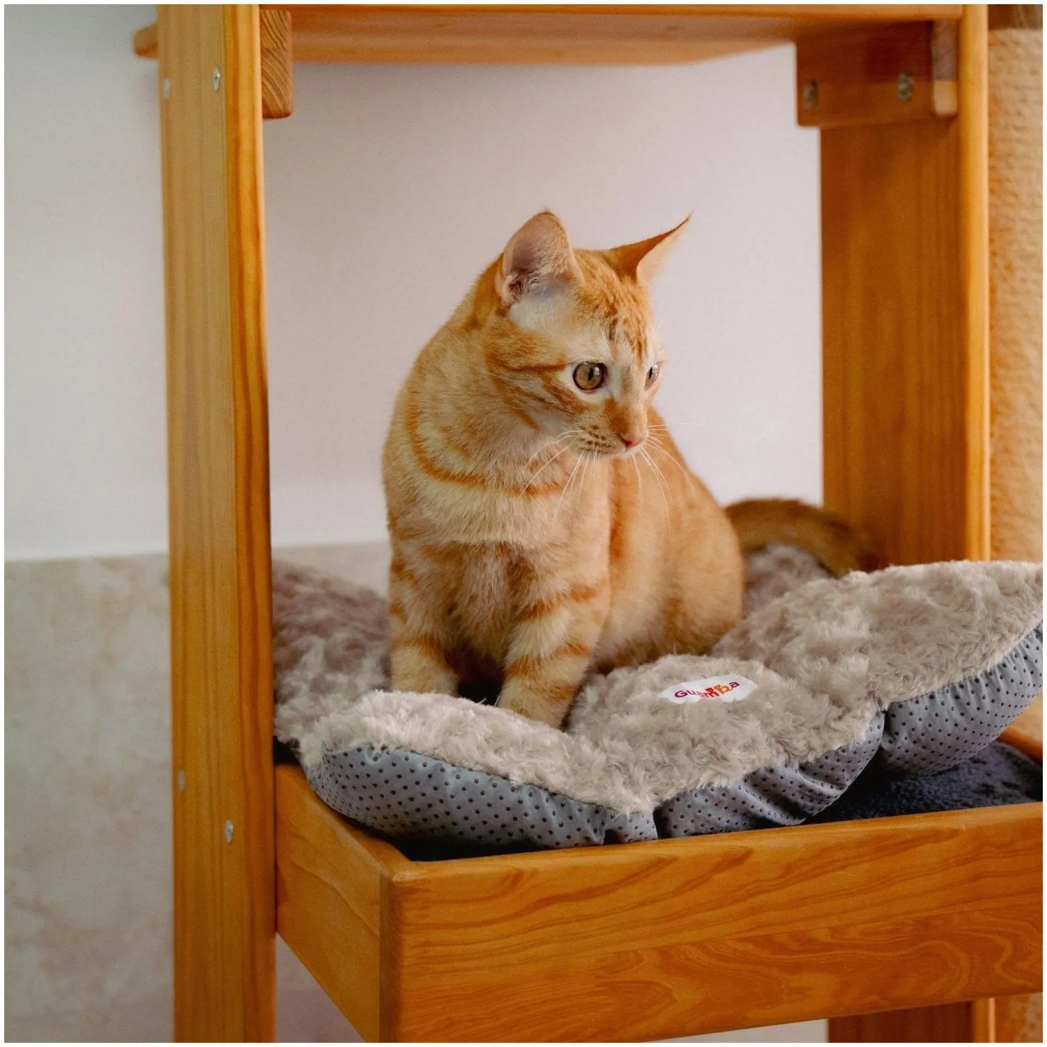 Colchoneta Para Gato Mediana 60x70cm