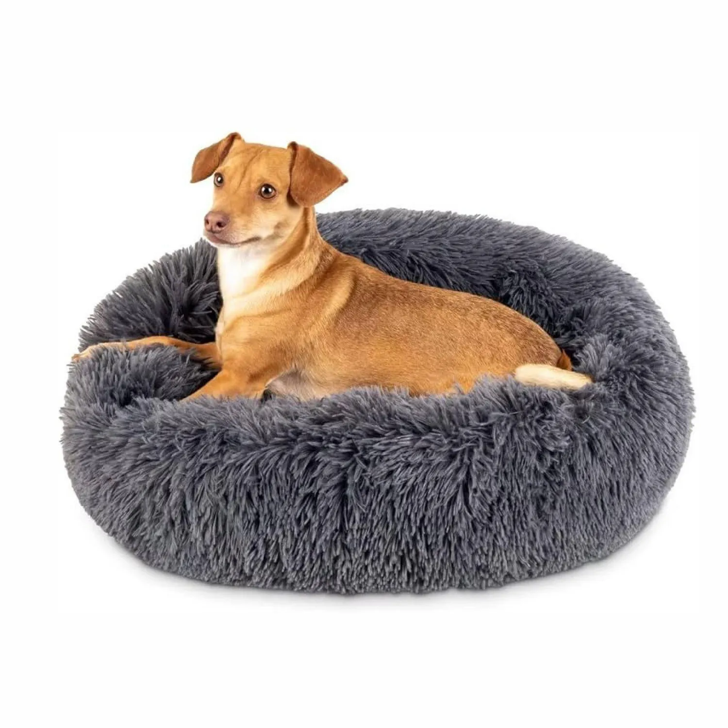 Cama para Perro Dona Anti Estrés Mediana Gris 60x20cm Petizoos