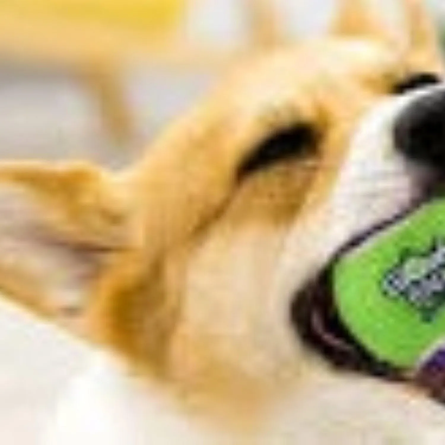 Pelota Para Perro Gigwiball Tennis Talla S