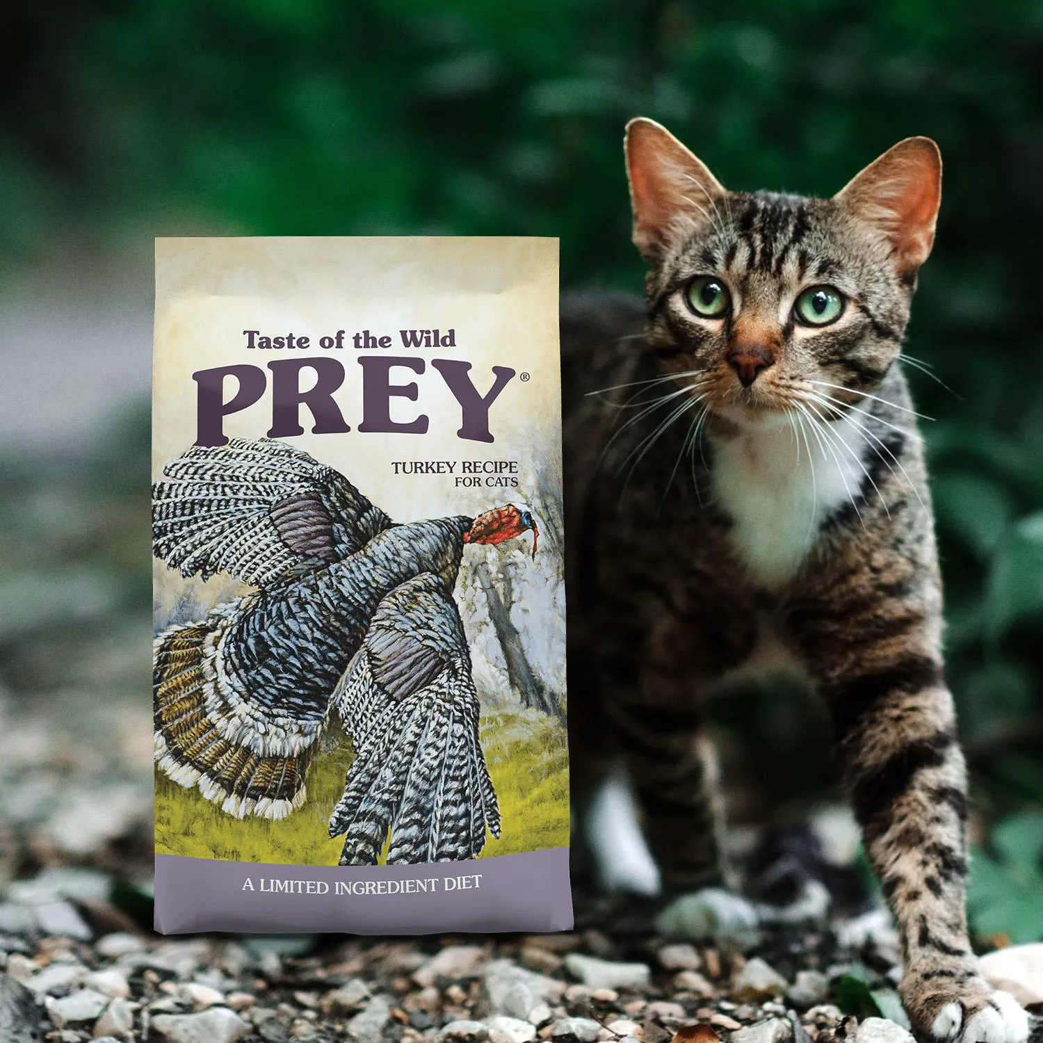 Comida Seca Para Gato Tow Prey Truckey Cat 500gr