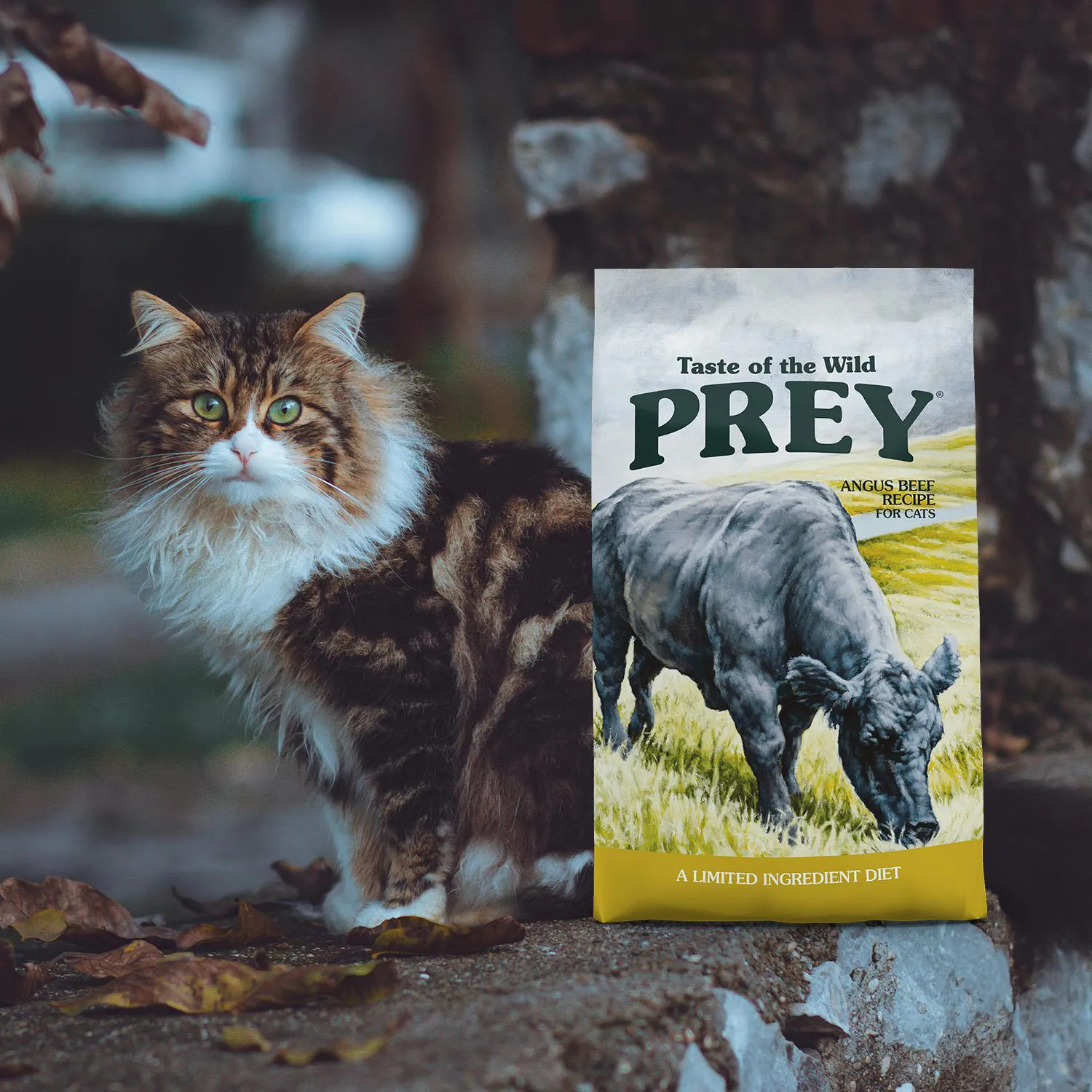 Comida Seca Para Gato Tow Prey Angrusbeef Cat 500gr