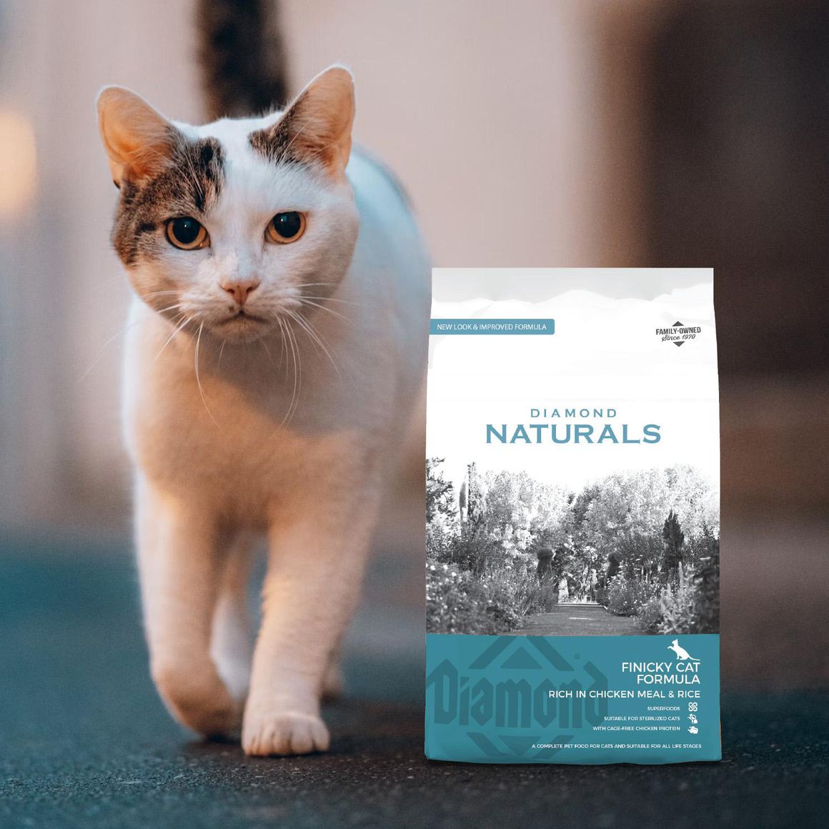 Alimento seco para gato diamond naturals finicky sabor a pollo 3kg ...