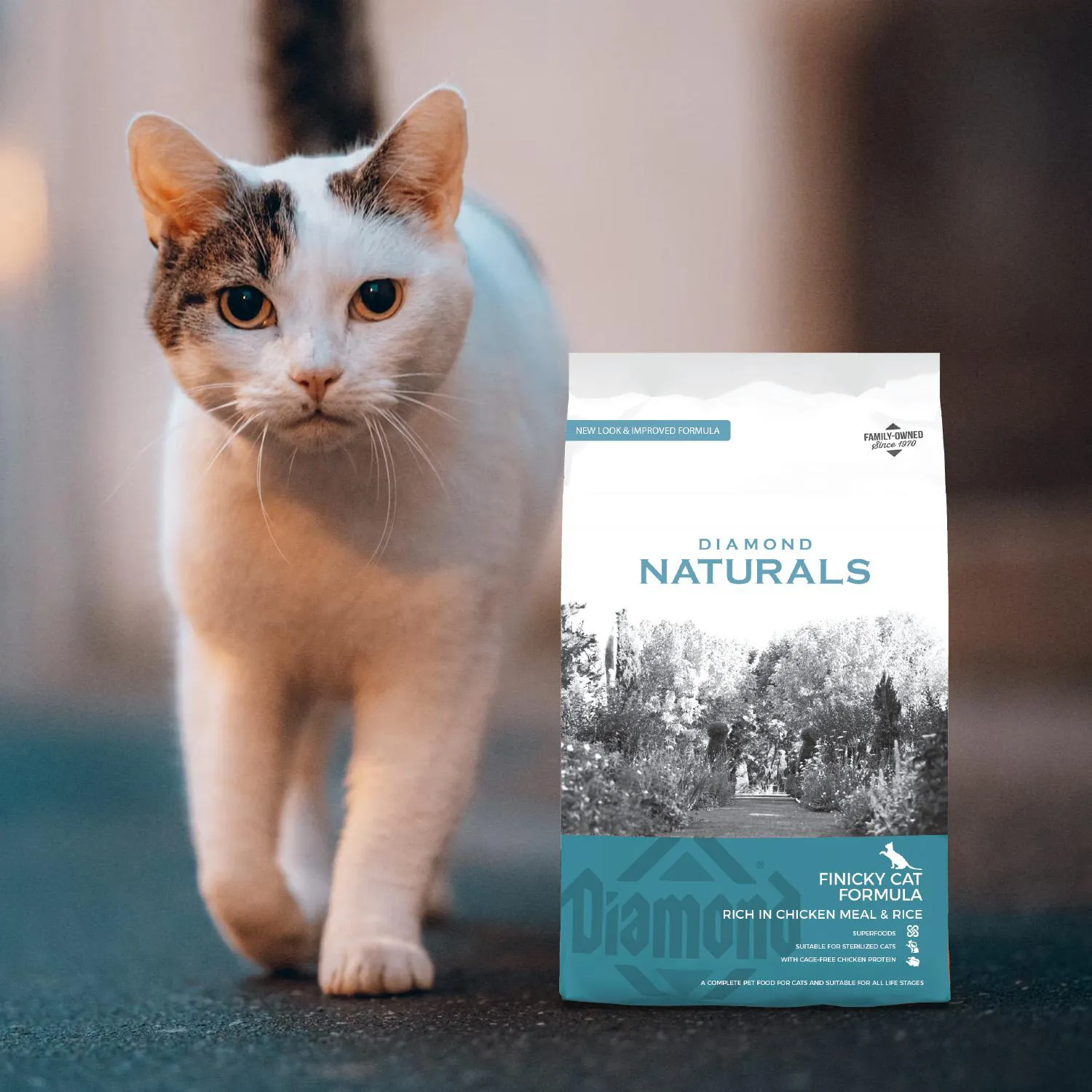 Comida Seca Para Gato Diamond Naturals Finicky Sabor A Pollo 3kg