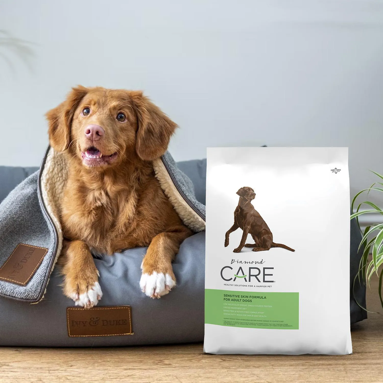 Comida Seca Para Perro Diamond Care Sensitive Skin 1kg