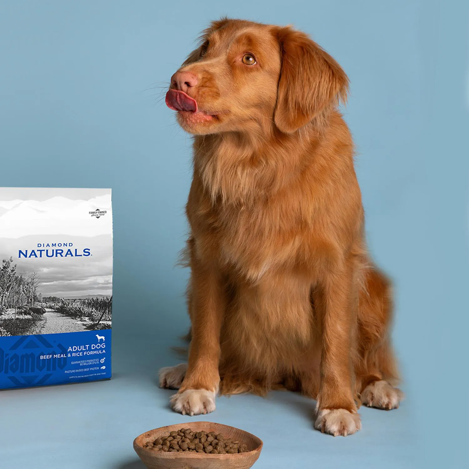 Comida Seca Para Perro Diamond Naturals Con Sabor A Carne Y Arroz 6lb 4