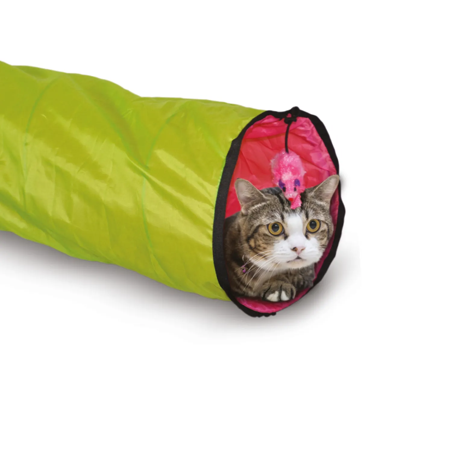 Túnel Interactivo Para Gato 120cm Petizoos 3