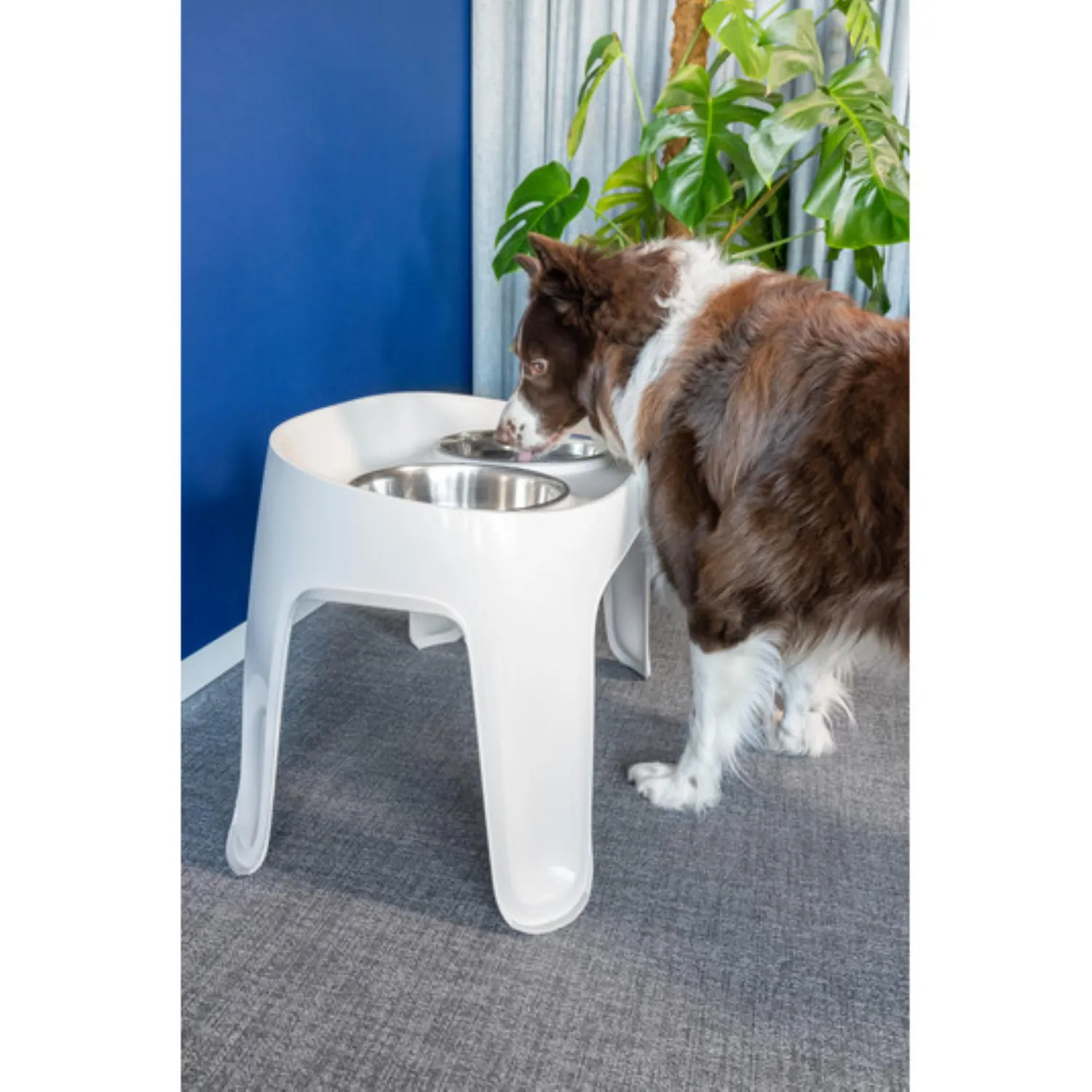 Comedero Doble Para Perro Skybar Talla M