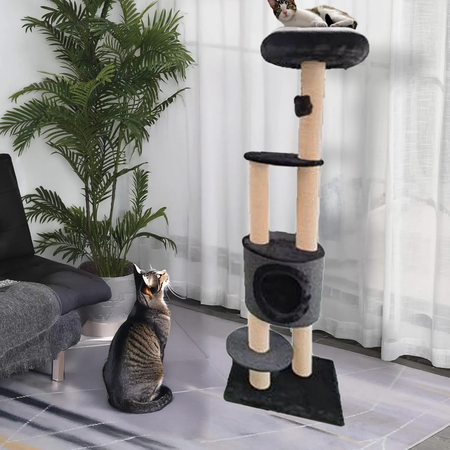Gimnasio Para Gato Esbelto Petizoos