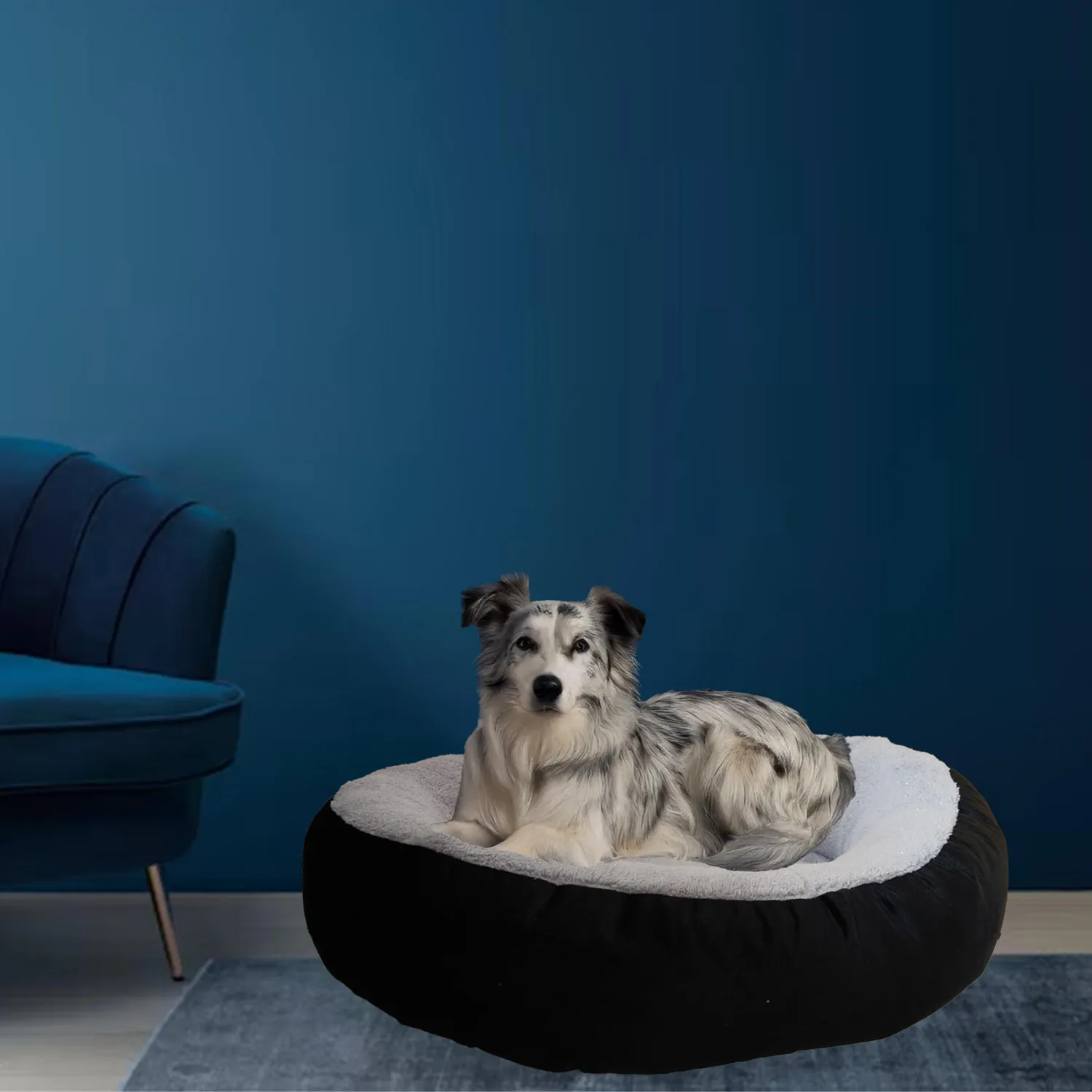 Cama Para Perro Redonda Petizoos 3