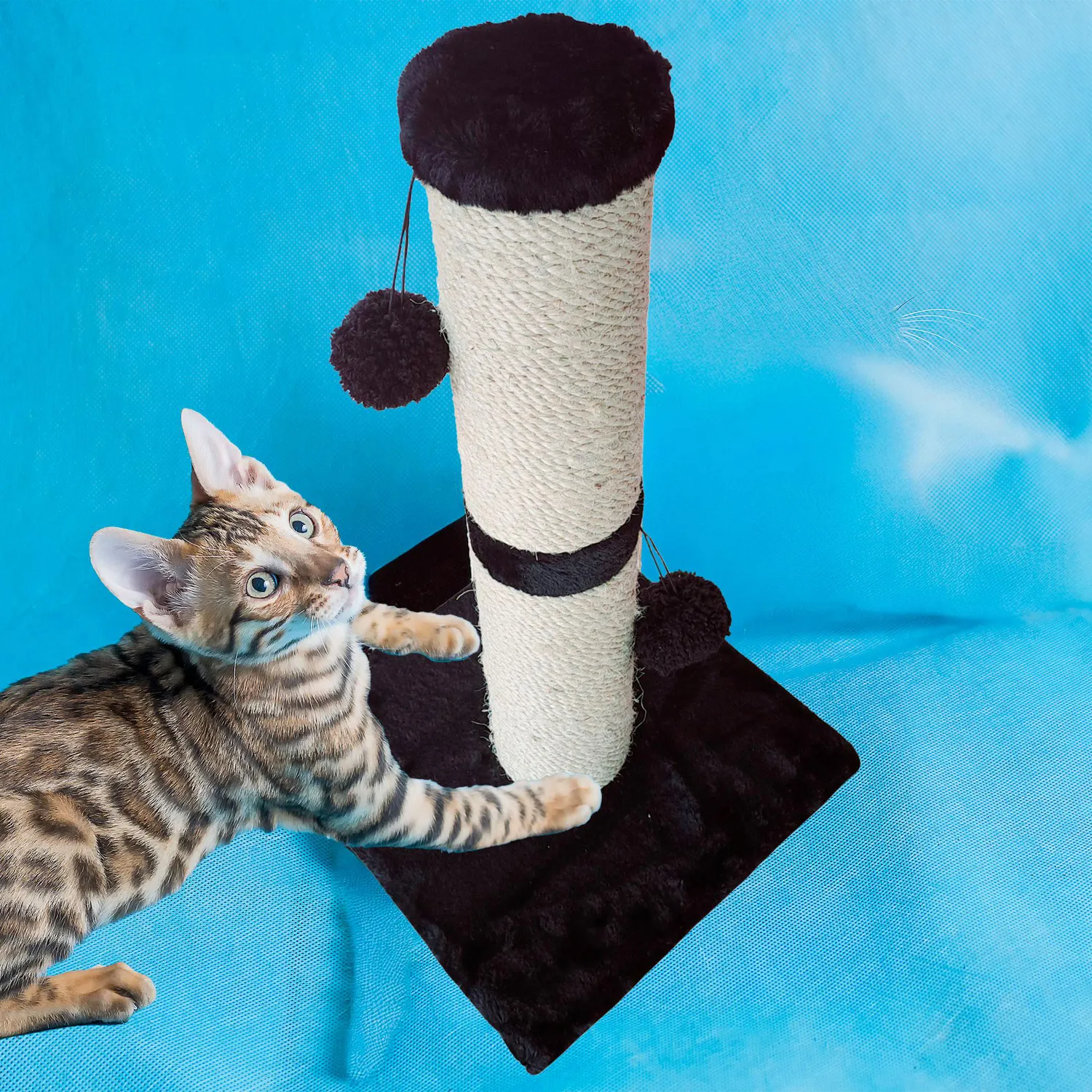 Rascadera para Gato Basic Petizoos