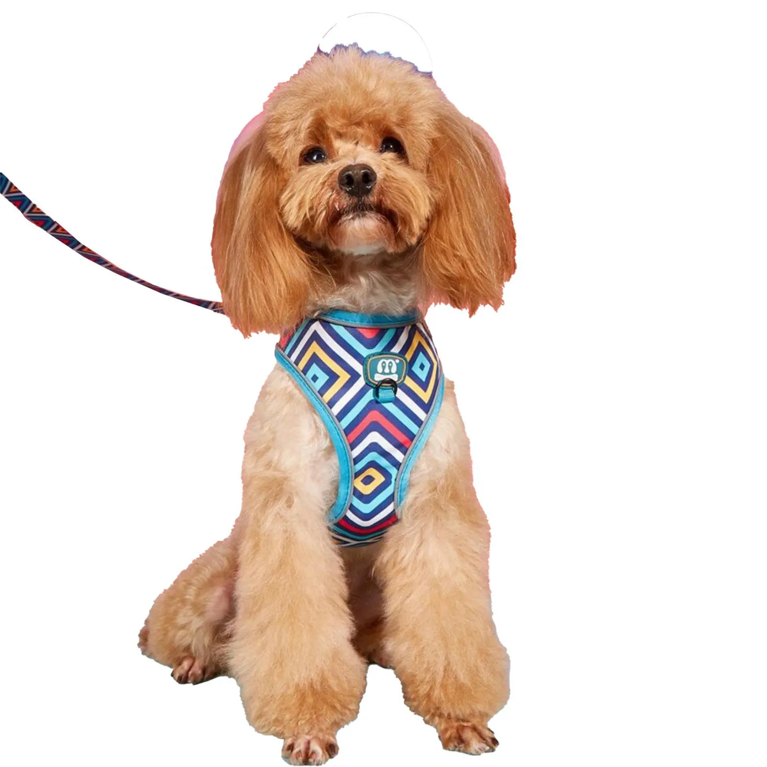 Arnés Para Mascota Disenos Talla L Petizoos