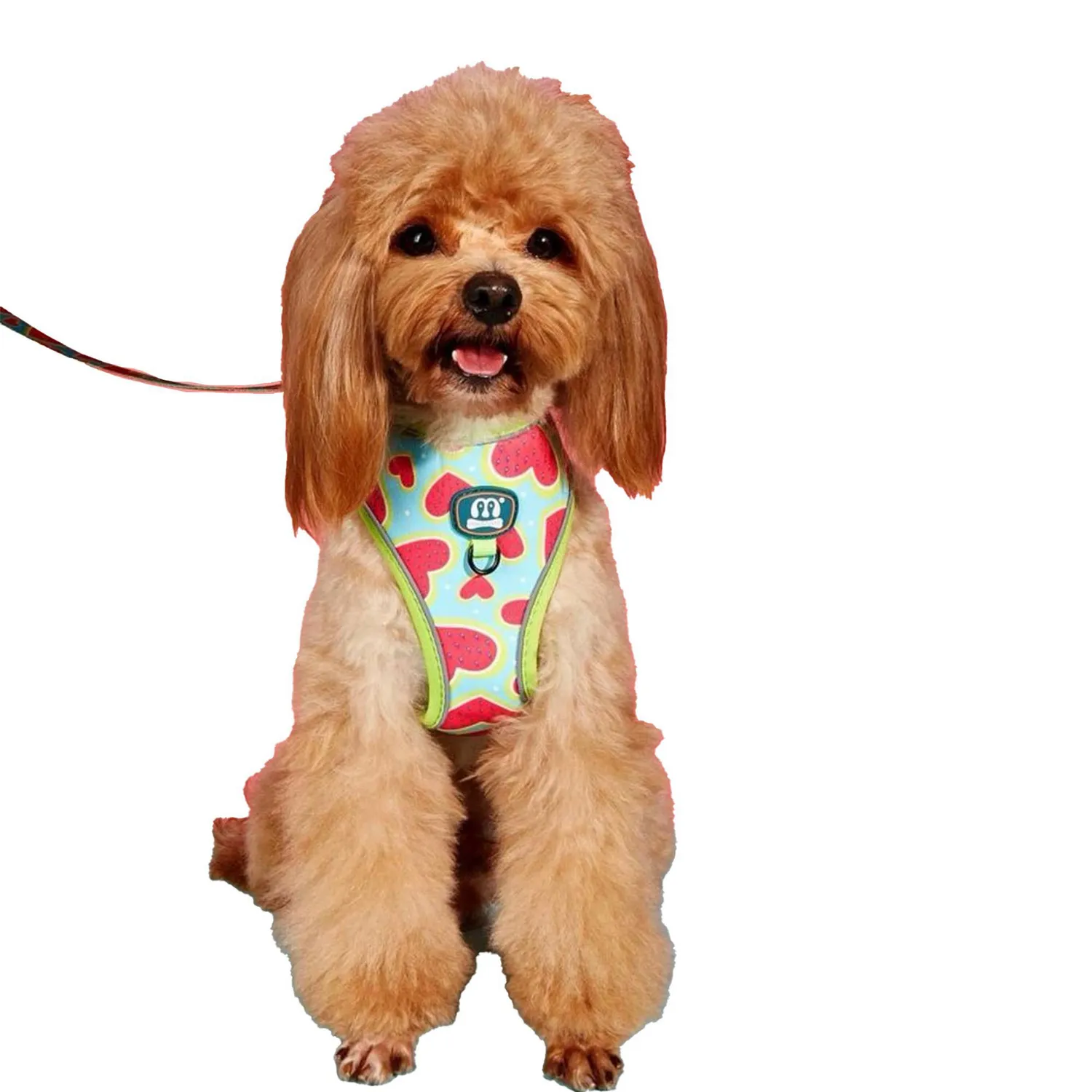 Arnés Para Mascota Disenos Talla M Petizoos