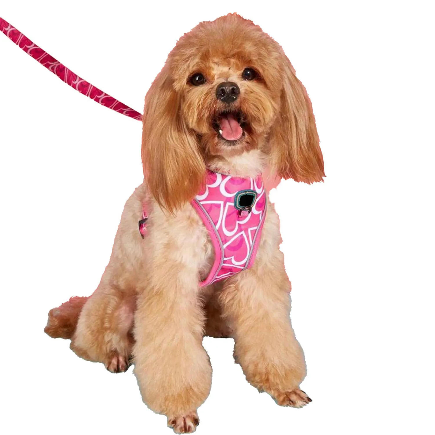 Arnés Para Mascota Disenos Talla S Petizoos