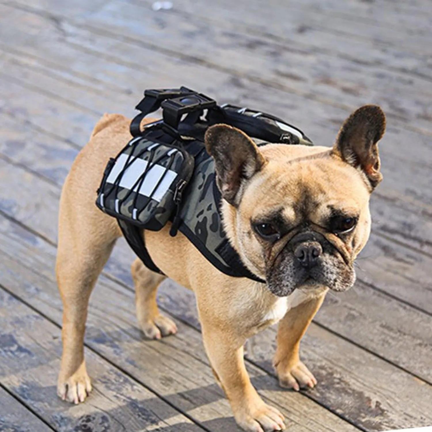 Pechera Cargador Perro Talla M Estampado Petizoos