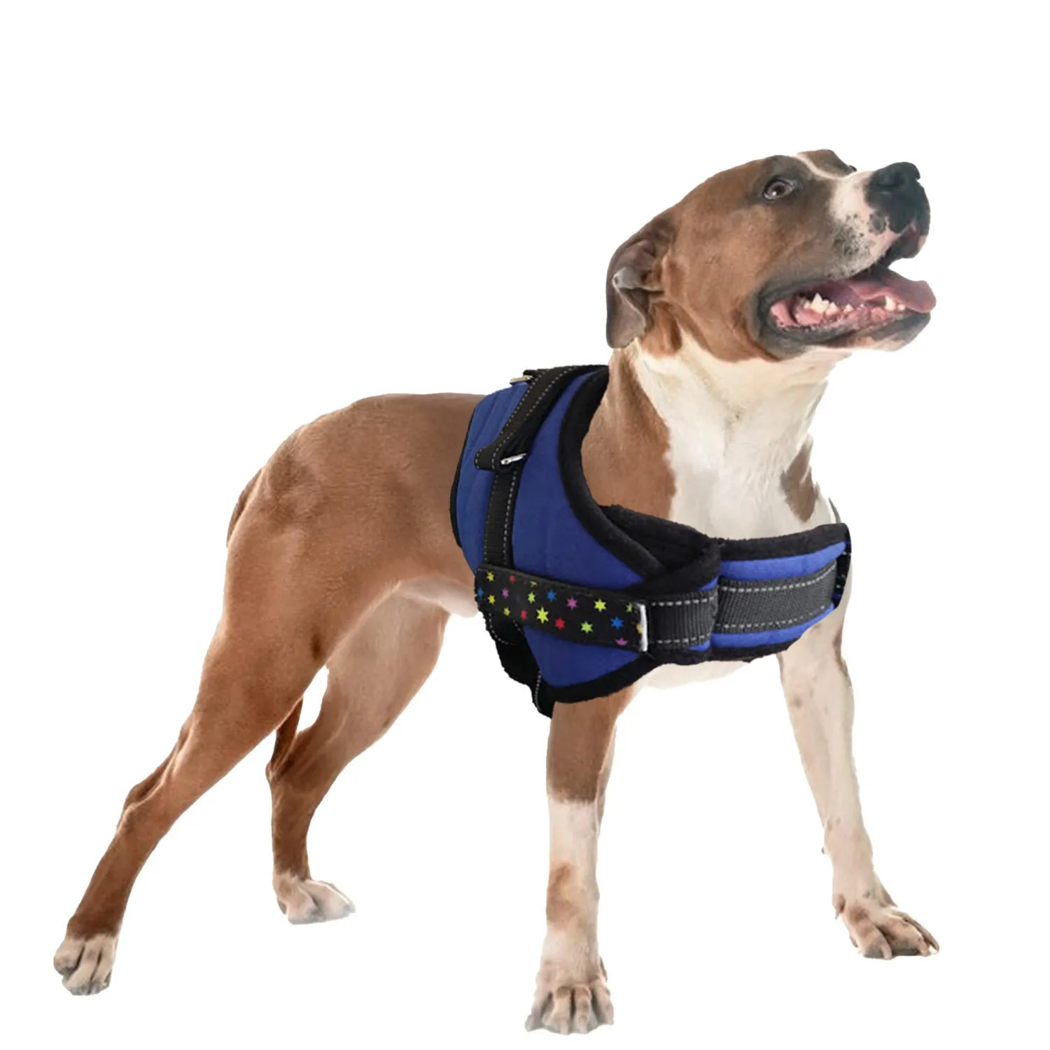 Pechera Para Perro Talla L Ran Petizoos