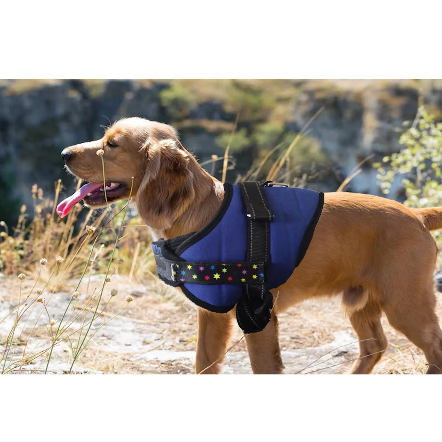 Pechera Para Perro Talla M Ran Petizoos