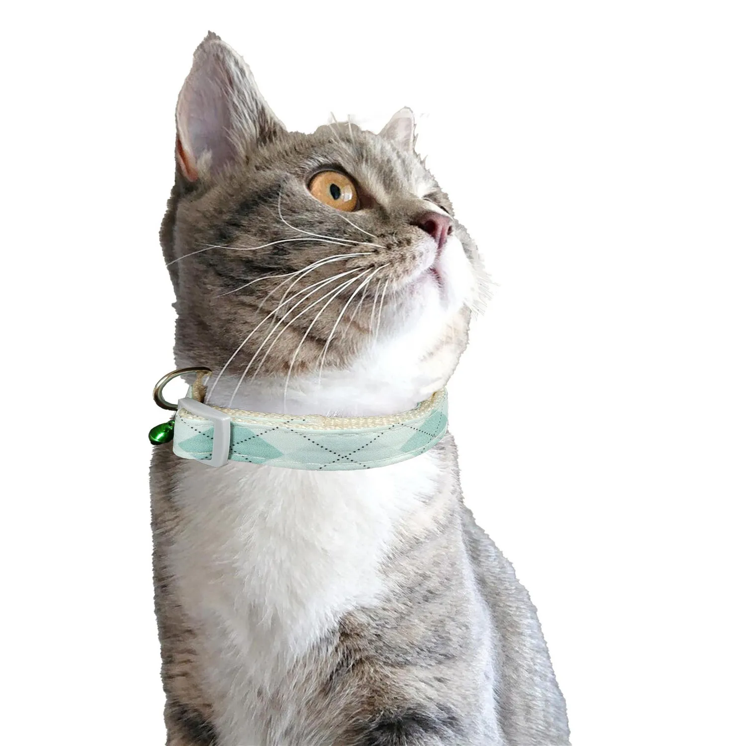 Collar Para Gato Cuadros Petizoos