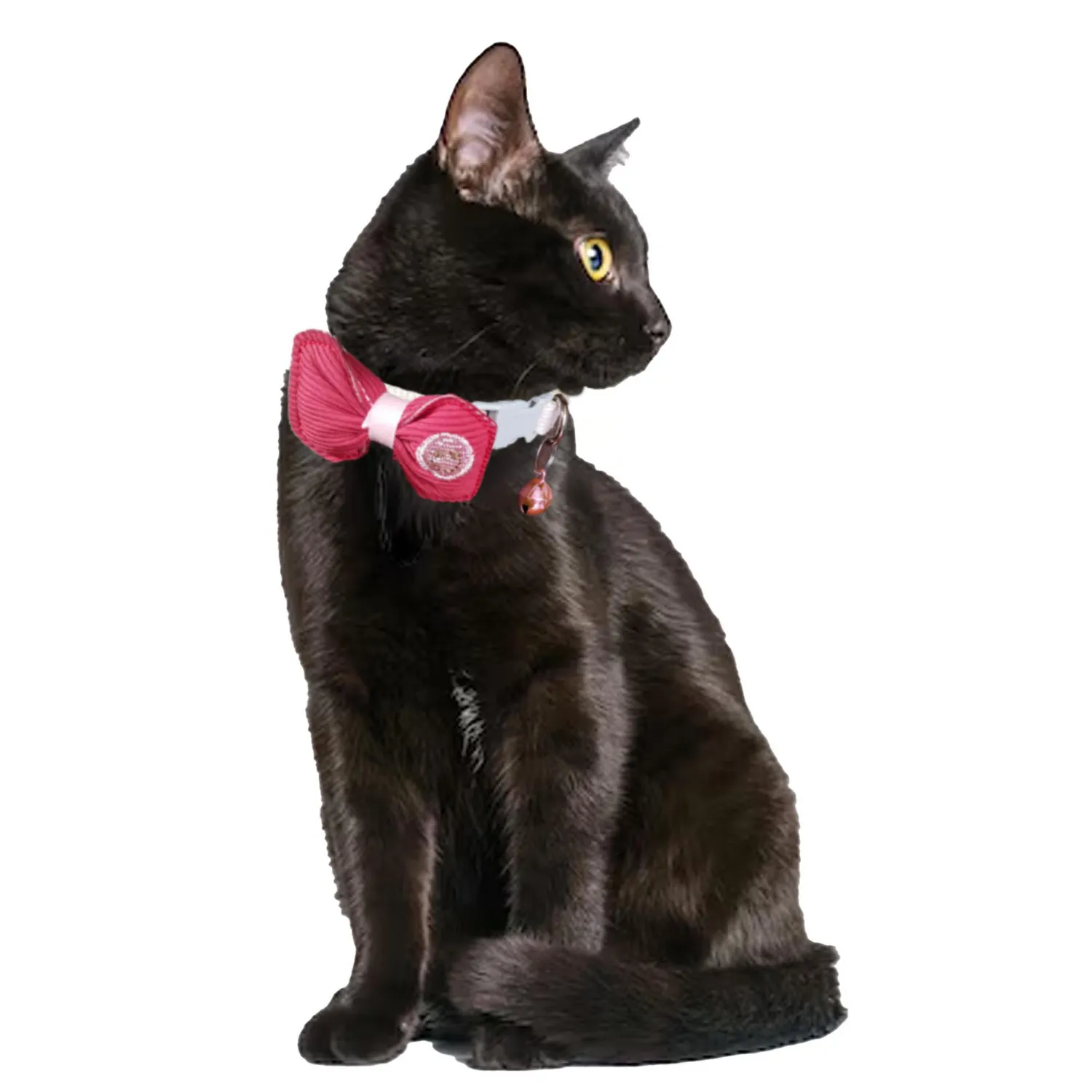 Collar Para Gato Mono Petizoos