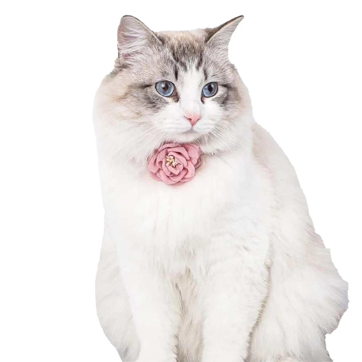 Collar Para Gato Rosa Petizoos